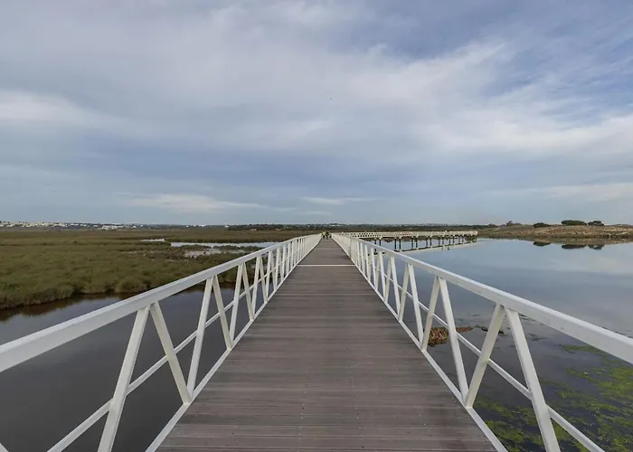 Bayline X * Armação de Pêra