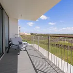 Bayline X * Armação de Pêra